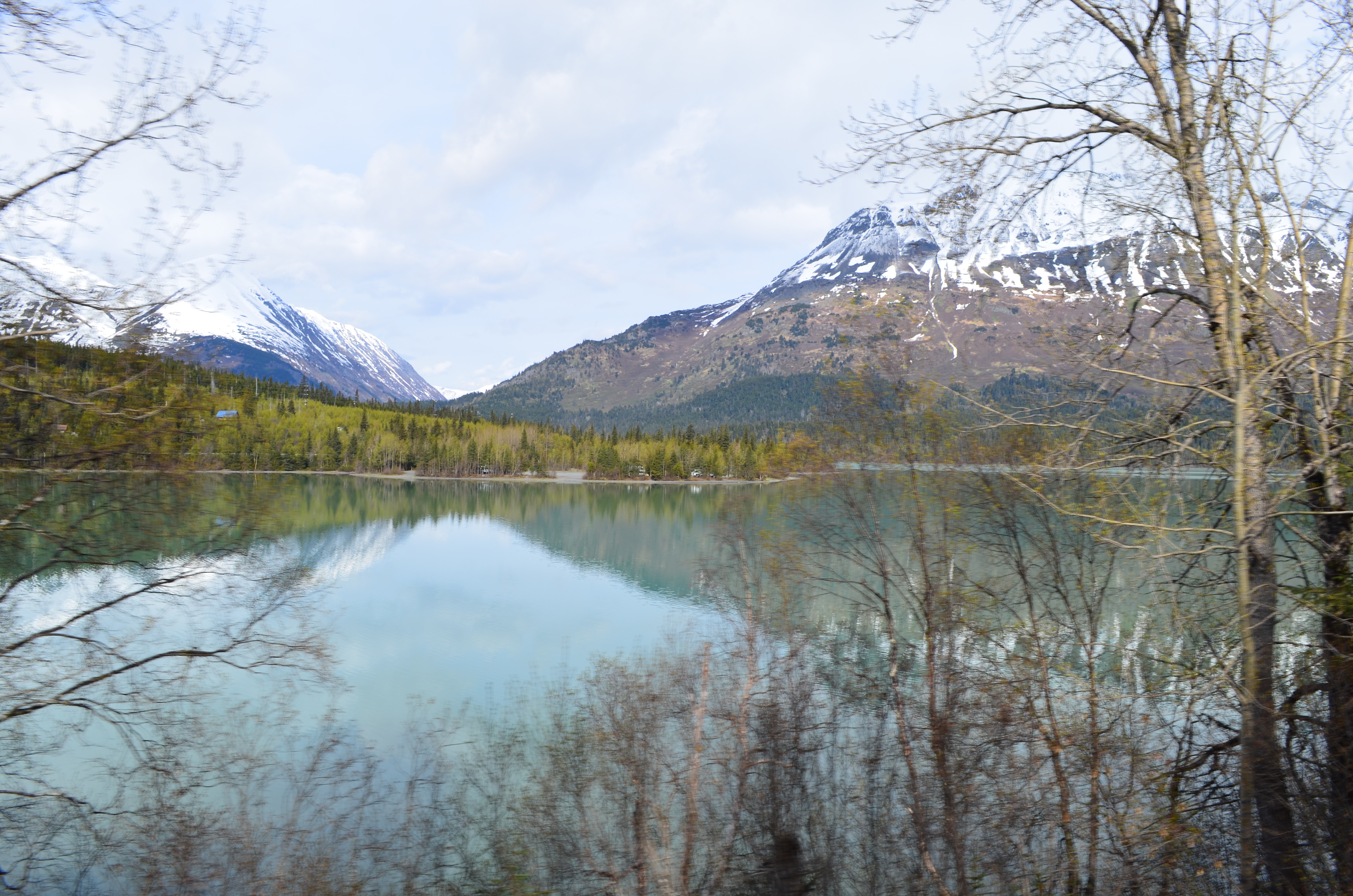 ./2017/08 - Alaska Cruise/05 - Train to Seward/DSC_0546.JPG